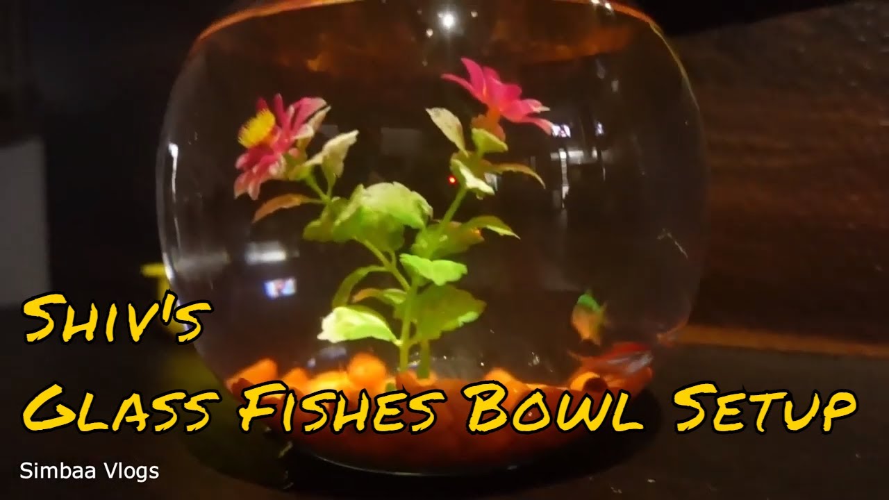 Shiv's Glass Fishes Bowl Setup | Kids Aquarium | Tamil | Simbaa Vlogs