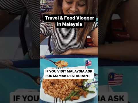 What is a Travel & Food Vlogger?
