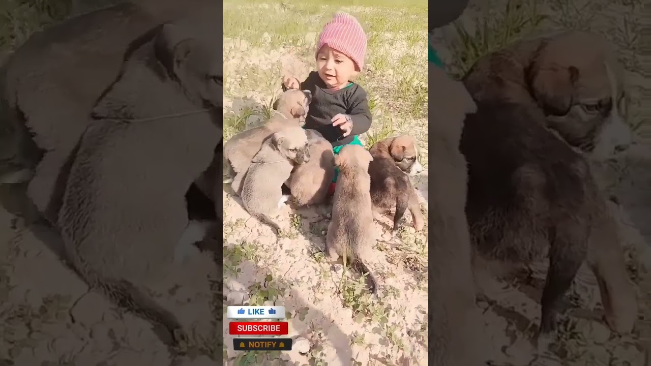 copycake #cutebaby #copycat #kids #kidsvideo #funny #trending #music #evergreenhits #photography