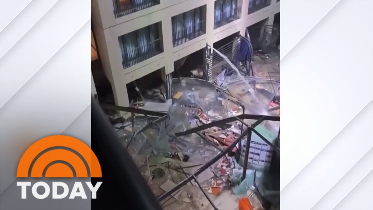 Berlin Aquarium Explodes, Spilling 1,500 Tropical Fish Onto Road
