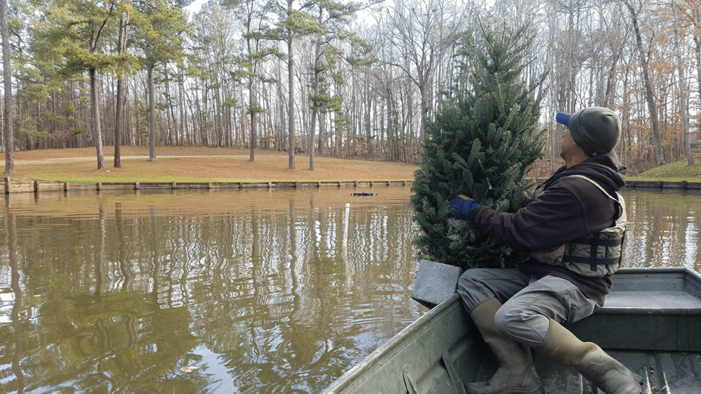 Create a Fish Structure to Attract Fish and Anglers
