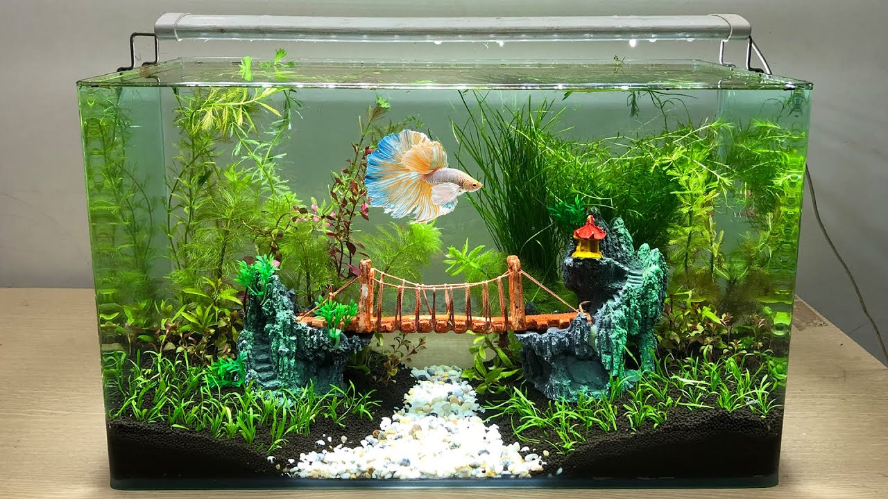 DIY Simple Aquasacpe Betta Fish For Office – How To Make Aquarium Decoration Ideas – MR DECOR #178