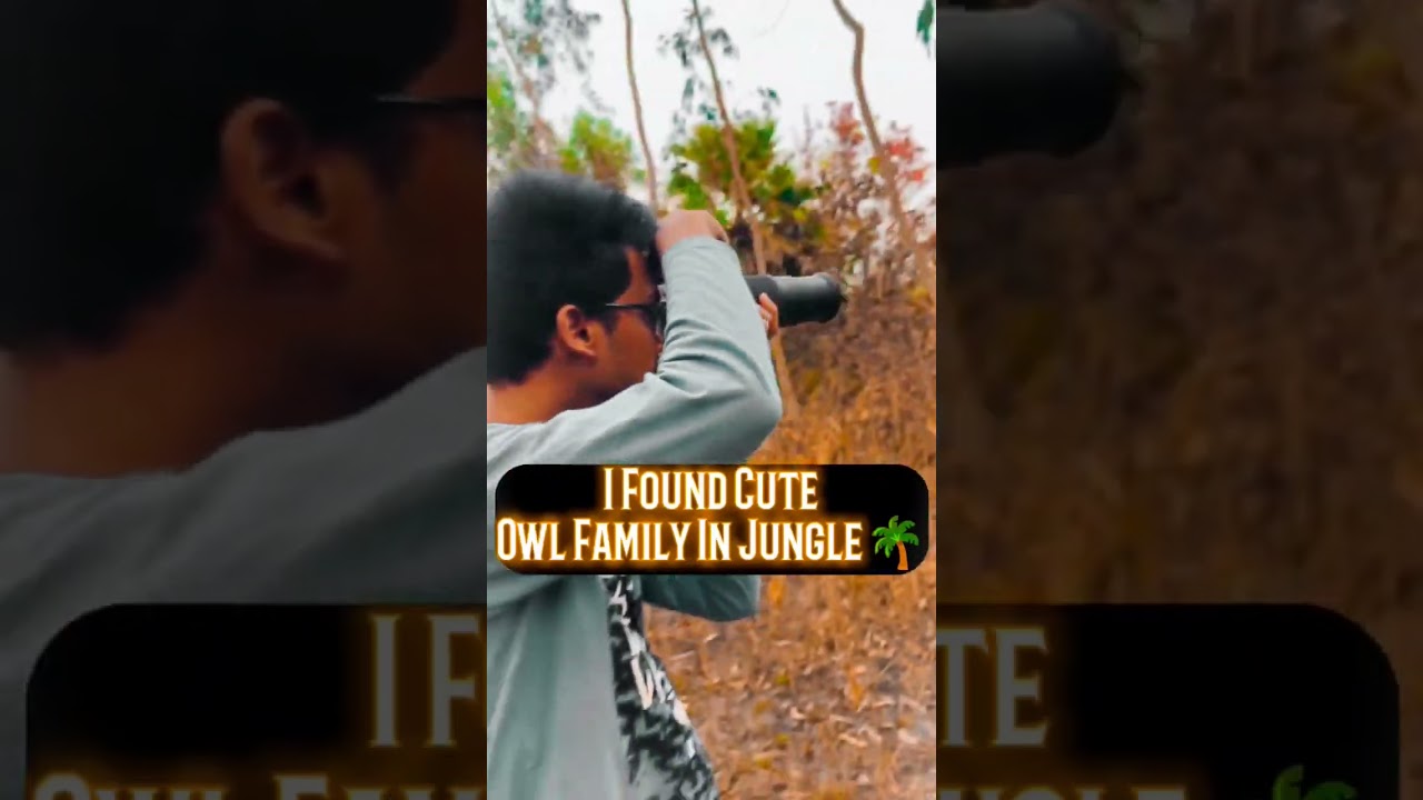 Owl Family🎯🦉Nikon Z50 Photography #birdsphotography #youtubeshorts #viral #nikon #shorts