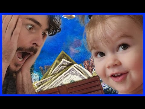 Toddler Finds Lost Wallet at The Aquarium – The Florida Aquarium and Valuable Lessons for Kids Video