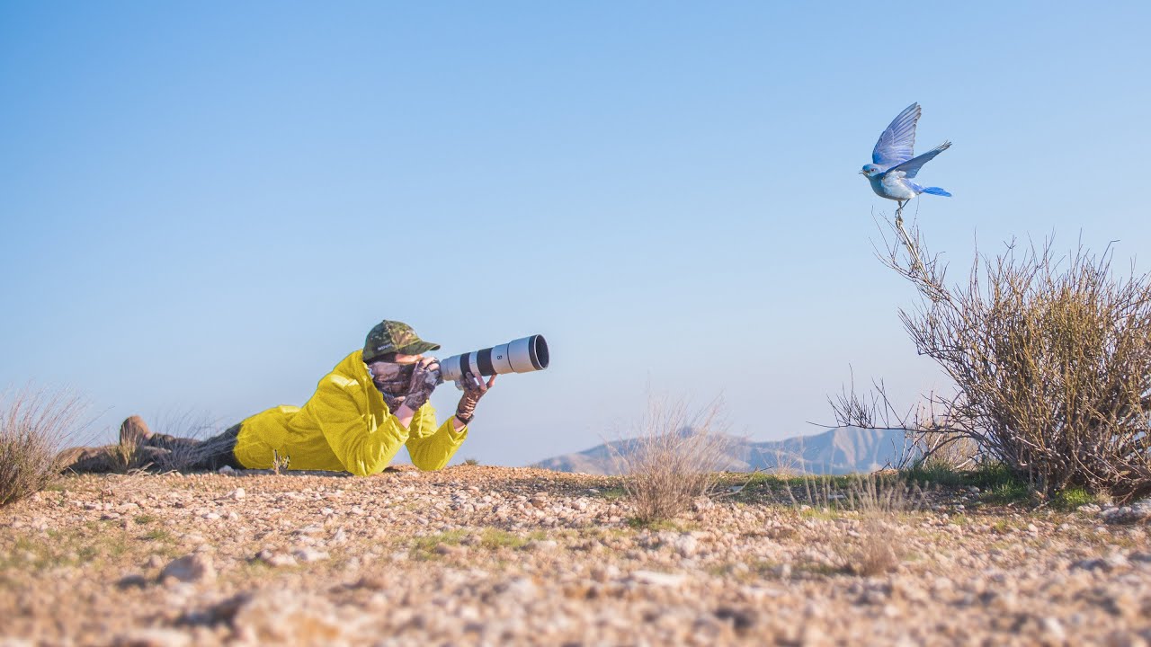 Wildlife Photography Adventure w/ the Sony A1