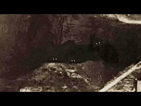 BIGFOOT PHOTO TAKEN!! – Startled Photographer Snaps A Group Photo Of A Sasquatch Family In A Cave!!