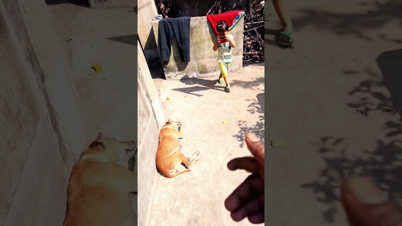 Children Photographer | #shorts #shortsvideo #shortviral #short #shortsfeed #shortsvideoviral #viral