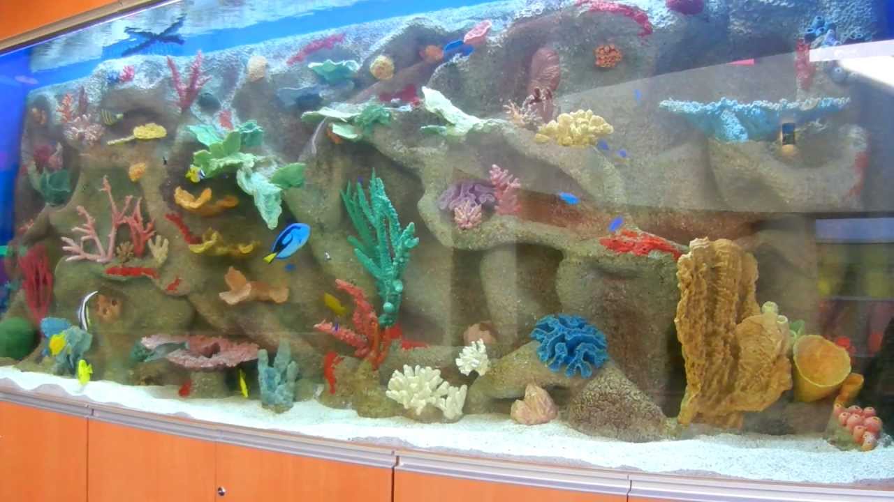 Children's Hospital 500 gallon Saltwater  Acrylic Aquarium for a Hospital in NY