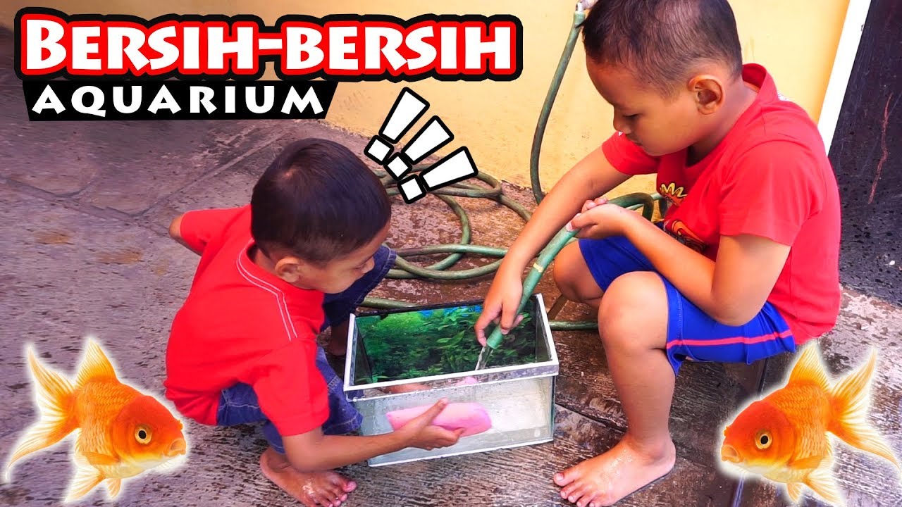 Drama Praya Bersihkan Aquarium Dan Beli Ikan Hias