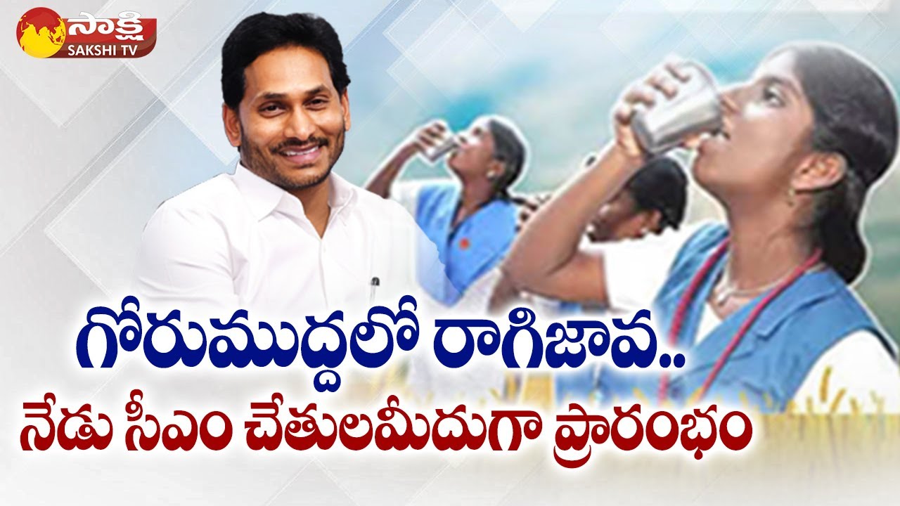 Jagananna Gorumudda : CM YS Jagan to  Launch Ragi Java for School Children @SakshiTV