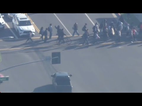 Police Chase: Shootout suspect waits for kids to cross street near Lakewood, drives off
