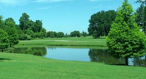 Protecting Water Quality: Algae & Aquatic Weed Control Part 1