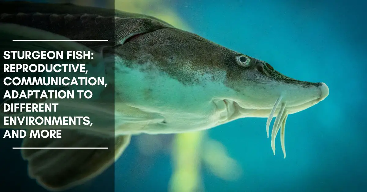 Reproductive, Communication, Adaptation to Different Environments, and More