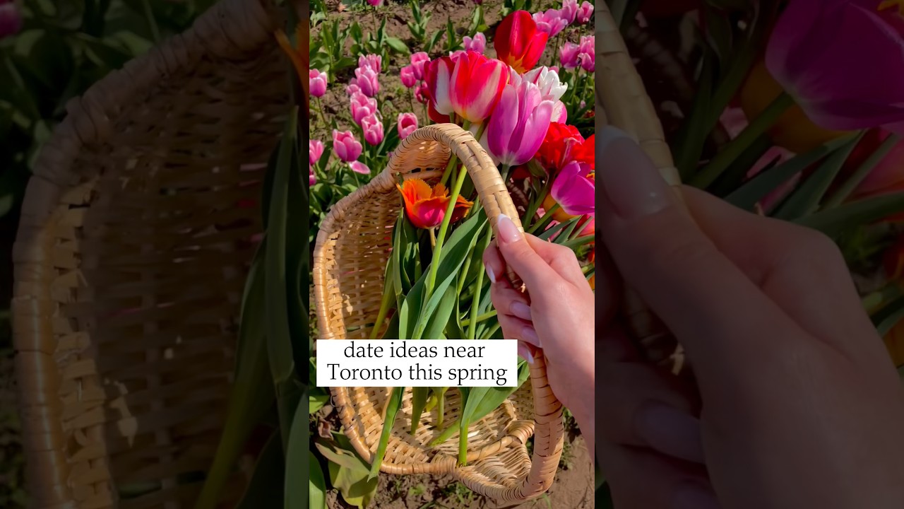 Date ideas near Toronto this spring #date #shorts