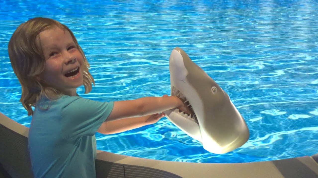 Kids Visiting Aquarium with Sharks, Turtles and Fish | Learn Sea Animals with BRO BRO