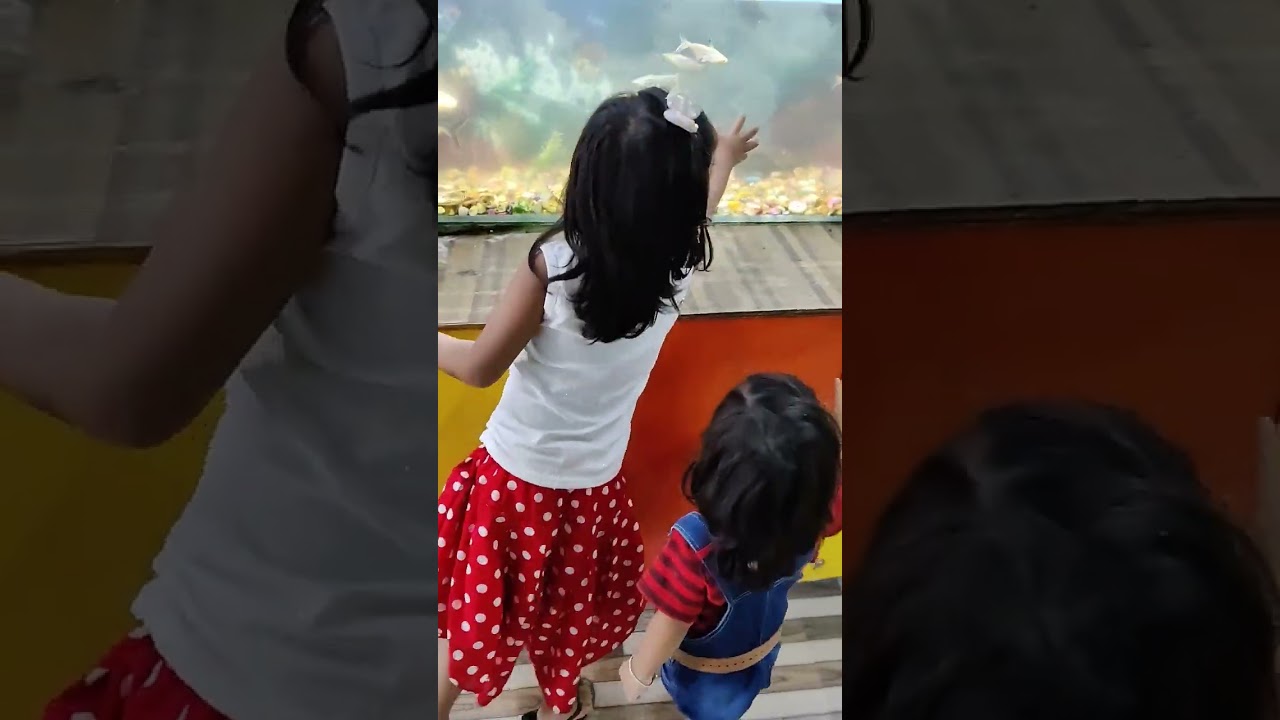 machli jal ki Rani hai🐟🐟🐠#shorts #chhotudada #shortvideo #hackwala #nikki tik tok #bhootwala #cute