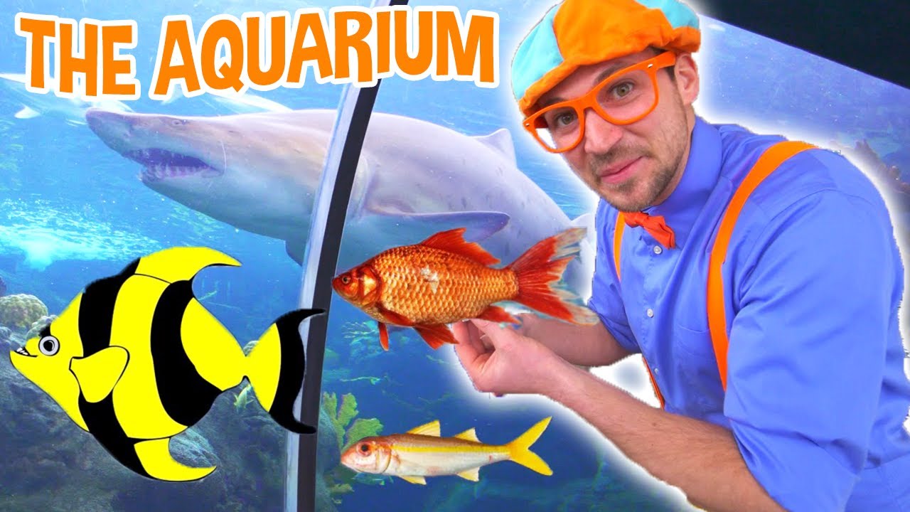 Blippi Visits The Aquarium – Learn Fish and Animals for Kids | Educational Videos For Toddlers