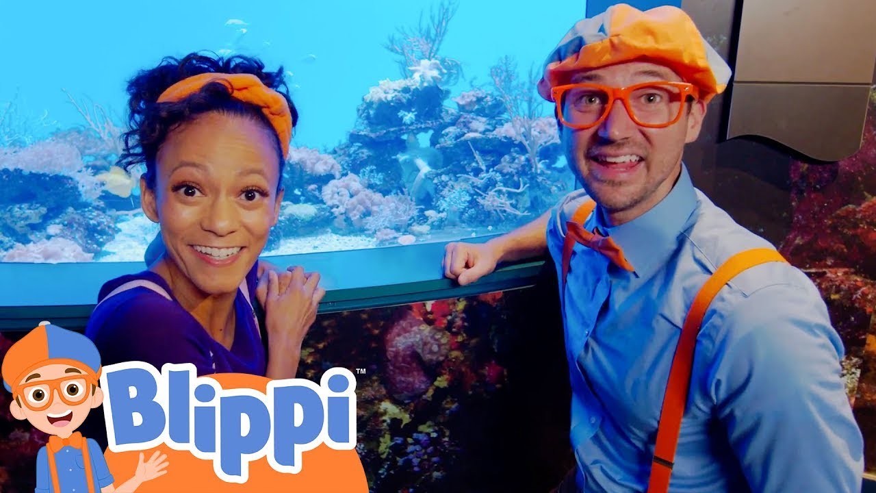 Blippi Visits the Aquarium of The Pacific | Educational Kids Videos | Moonbug Kids