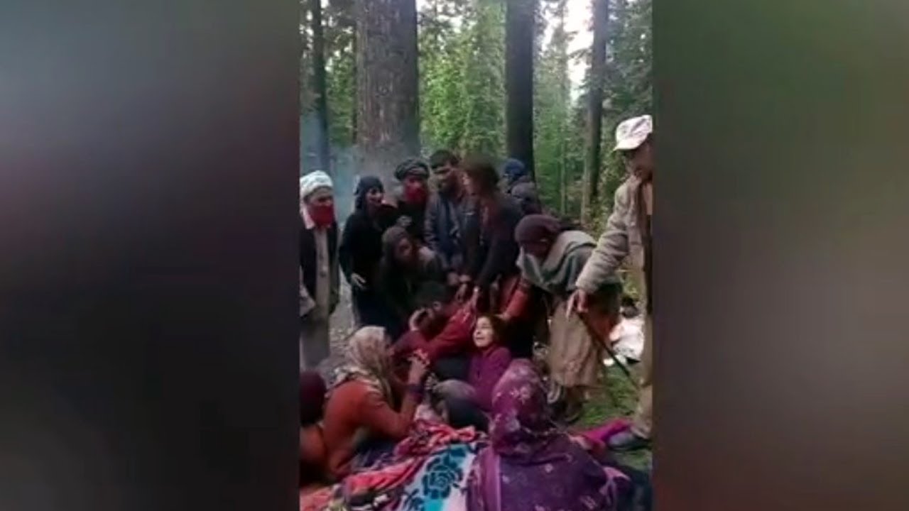 Kishtwar: 4 Died As Tree Falls On  Bakarwal Family