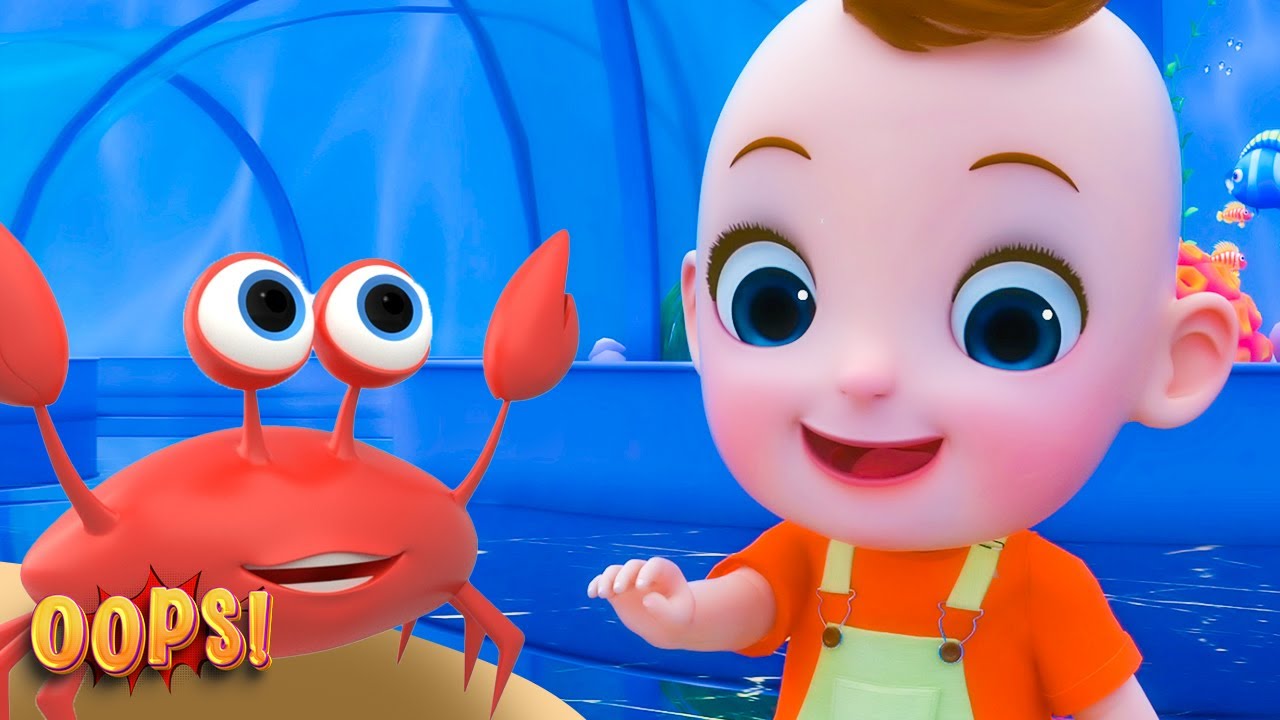 Let's Meet Sea Animals! – Aquarium Song + More Nursery Rhymes & Kids Songs | Oops!