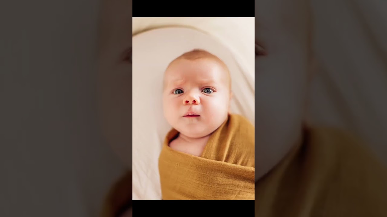 Newborn Baby Photography by Jasmina Zuccarelli #shorts #newbornbabies #newbornphotos #babies