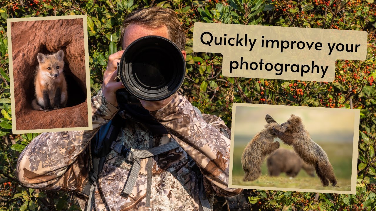 Quickly improve your Wildlife Photography! Things I wish I knew starting off in photography.