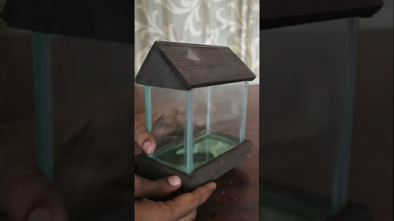 only for photo shoot use – small fish tank unpacking -abi bettas