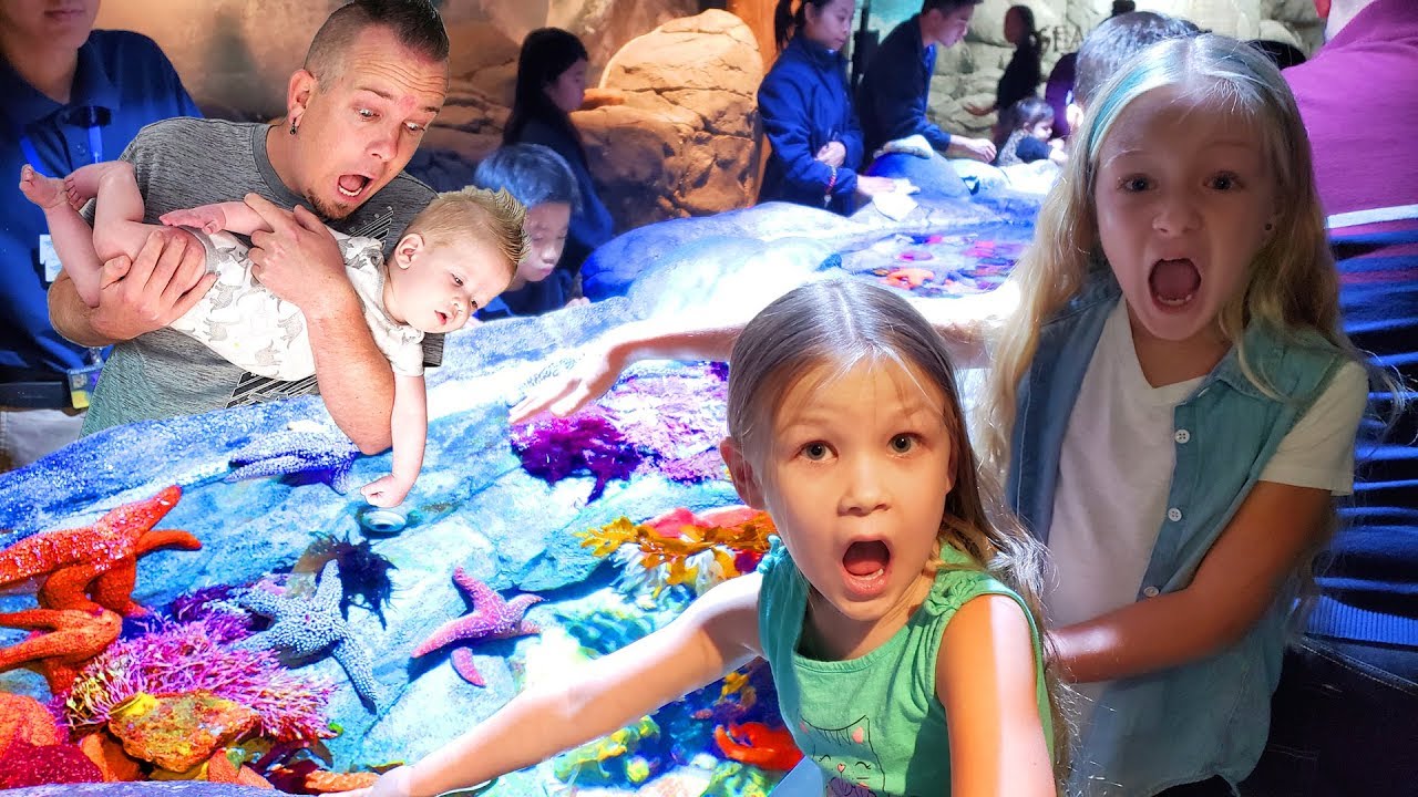 Baby's First Time At The Aquarium! We Hold A Shark, Santa Goes Swimming and Diver Does the Floss!