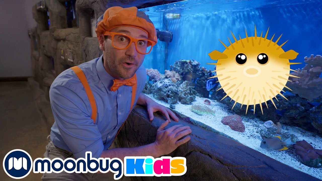 Blippi Explores Marine Animals At An Aquarium! @Blippi Educational Videos for Kids | Explore With Me