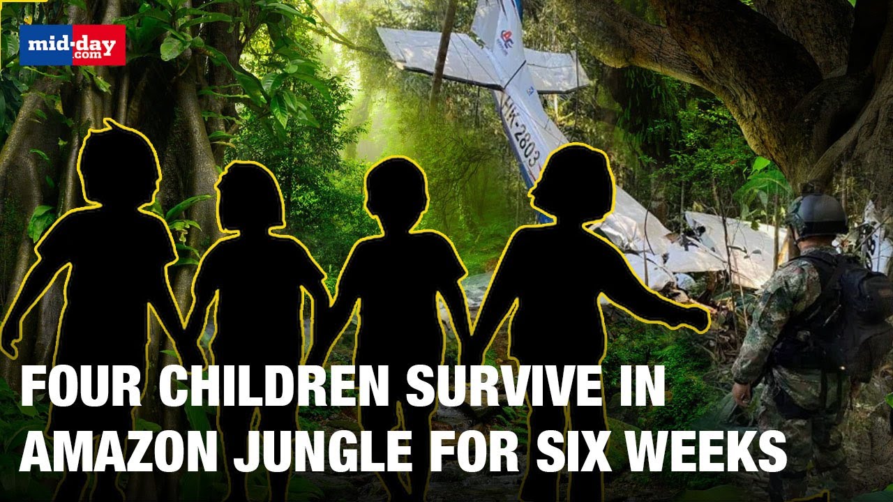 Four Colombian children survive the Amazon jungle for six weeks after plane crash