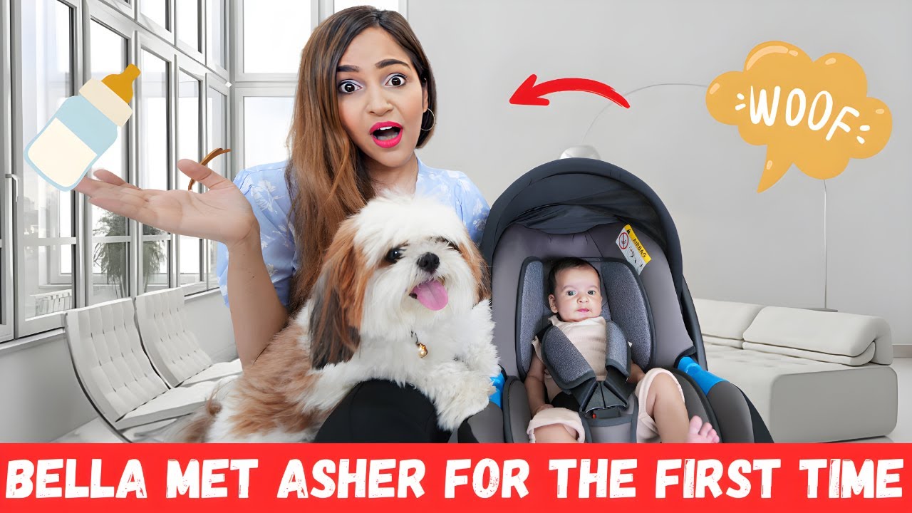 Our DOG met NEWBORN BABY BROTHER!!! *Adorable*