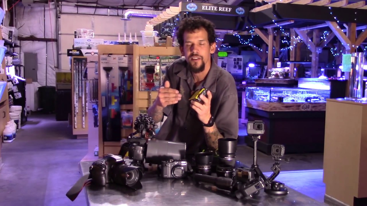 The Best Reef Camera for Photo and Video