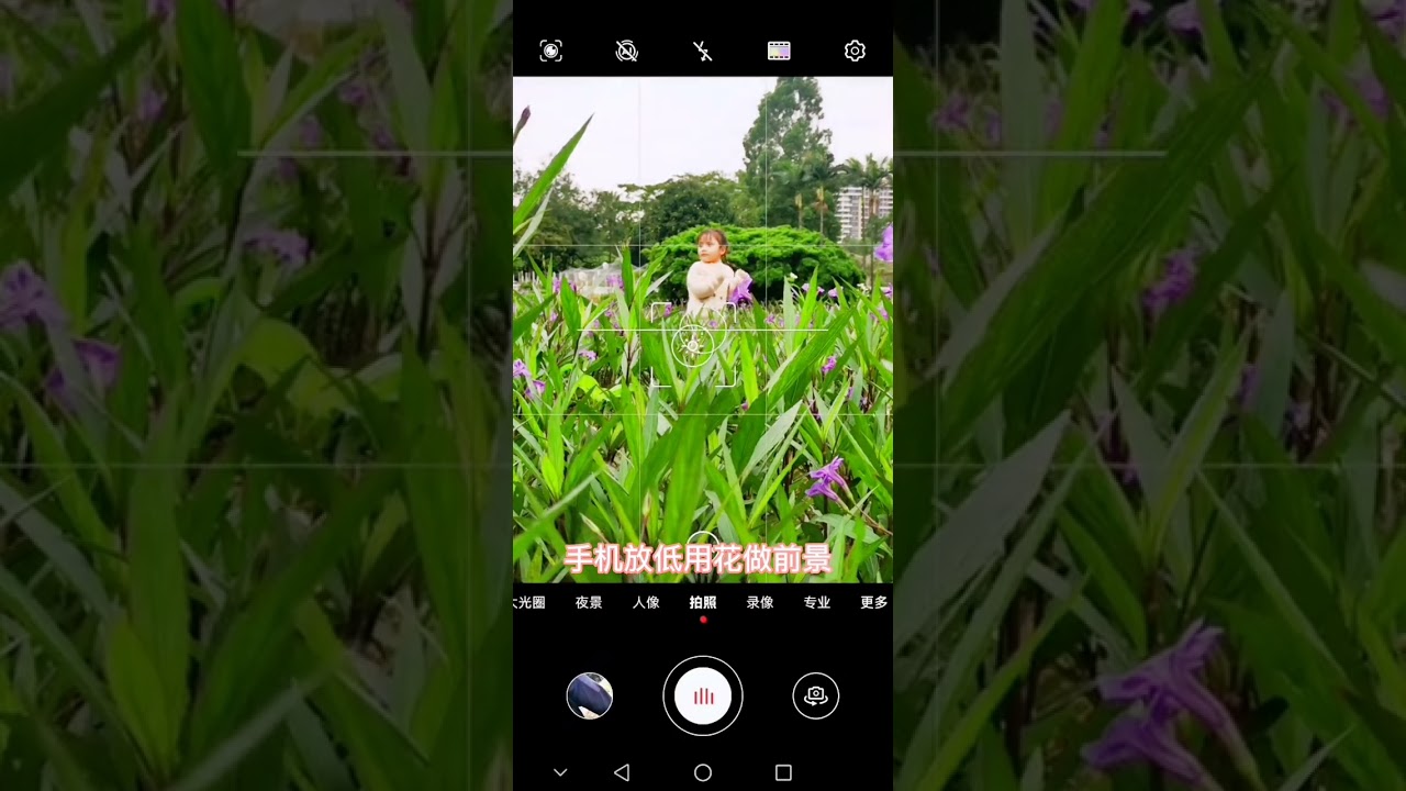 amazing photography idea 儿童摄影 43带宝宝出去玩遇到花海不会拍三个萌宝万能拍 #photography