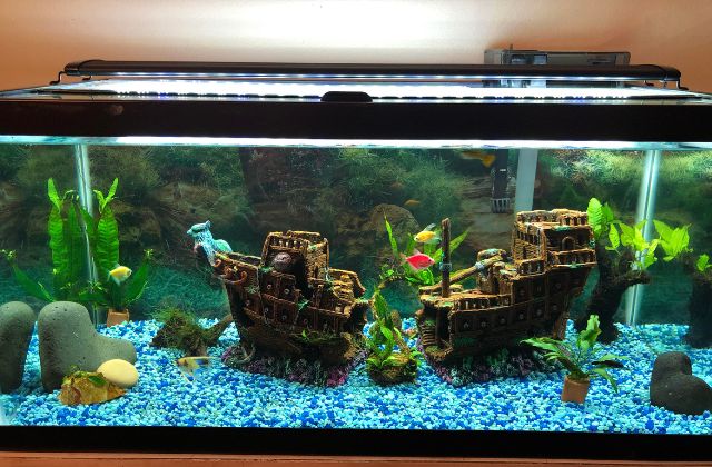 5 Best Aquarium Filter Floss and Why You Need It?