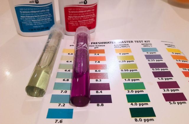Best Aquarium Water Test Kits to Choose From!