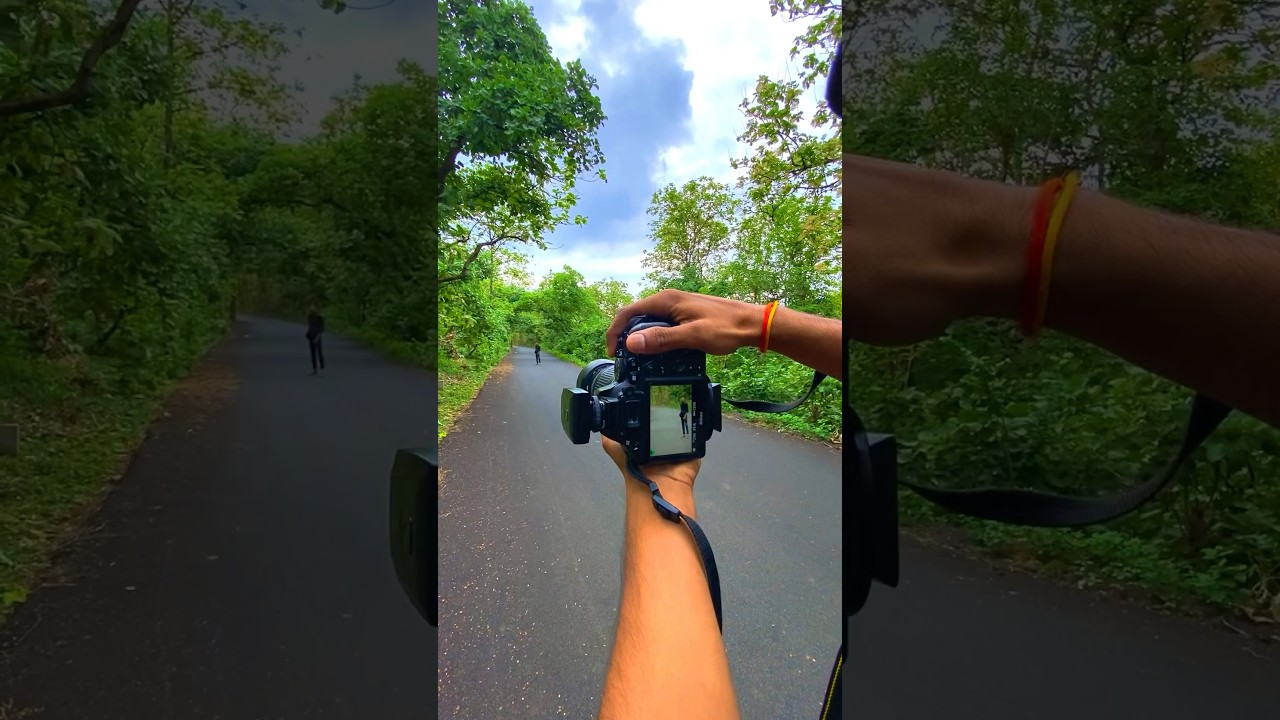 Nikon 70-300 mm lens photoshoot #short #shorts #ytshorts  #photography #camera #india #photoshoot