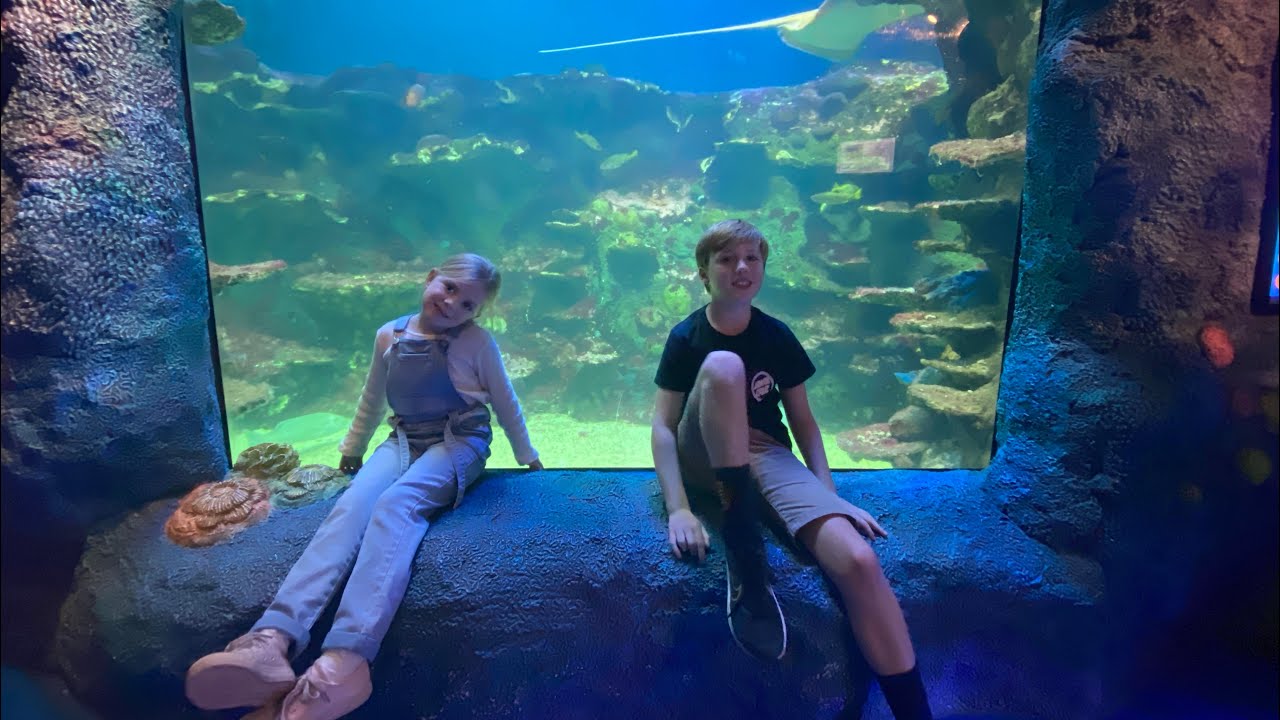 Sydney Aquarium Adventure
