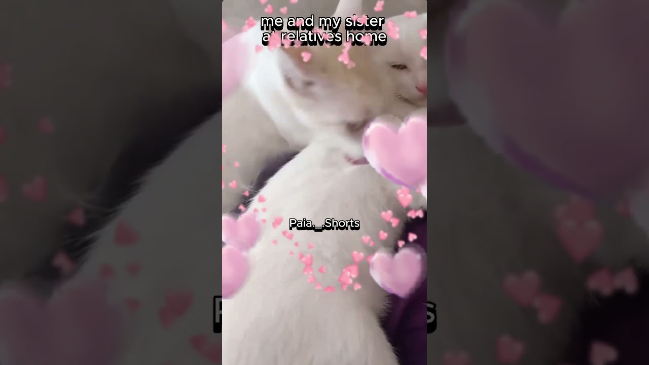 send this to ur siblings