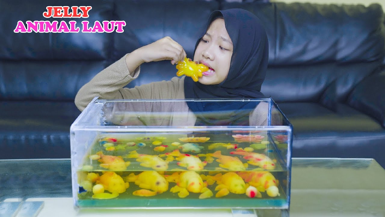 Drama || Dinda Pesta Jelly Animal Laut di Aquarium