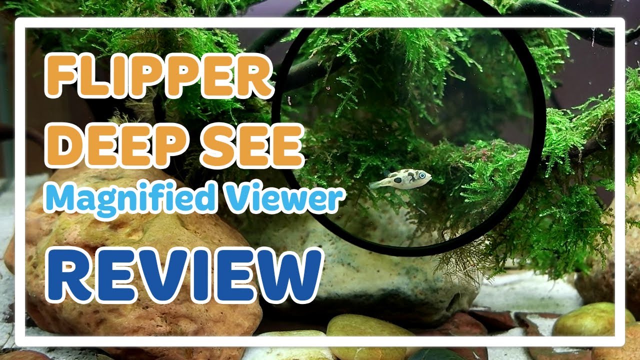 Flipper DEEPSEE Magnified Viewer REVIEW