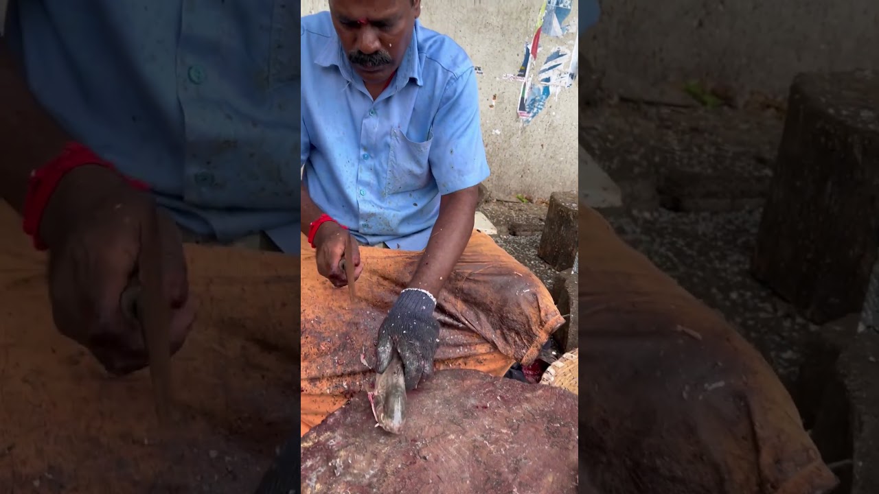 MOSAL PAARAI FISH 🤩