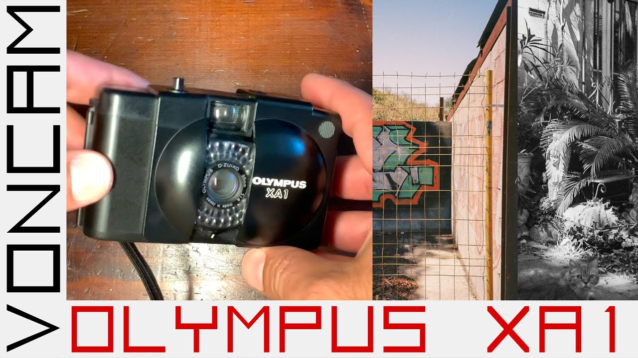 Olympus XA1 – mini XA or hidden gem, the focus-free of the family that packs punch for spontaneity