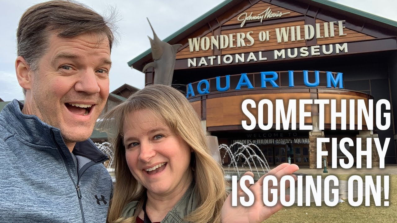 Bass Pro Shops Aquarium Tour 2020 // Wonders of Wildlife // Springfield, MO [EP 45]