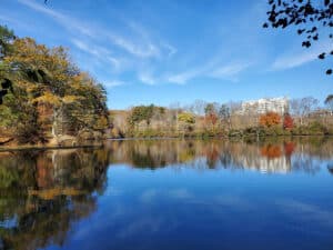 Harnessing the Power of Color: Lake Dyes for Aquatic Management