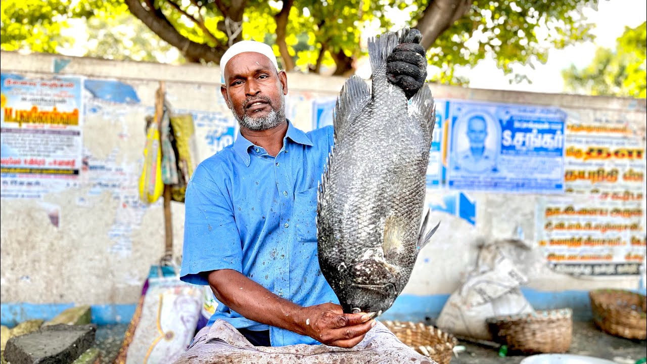 KAL KODUVA FISH 🐠 CUTTING BY KASIMEDU MAGISTRATE ⚔️🔥
