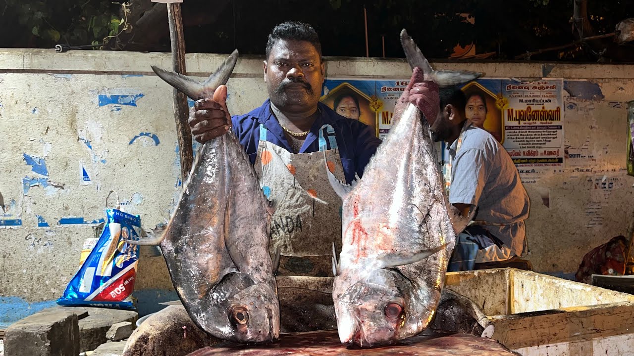 KANNAADI PAARAI FISH 🐠 AMAZING CUTTING BY SPEED SELVAM ⚔️🔥