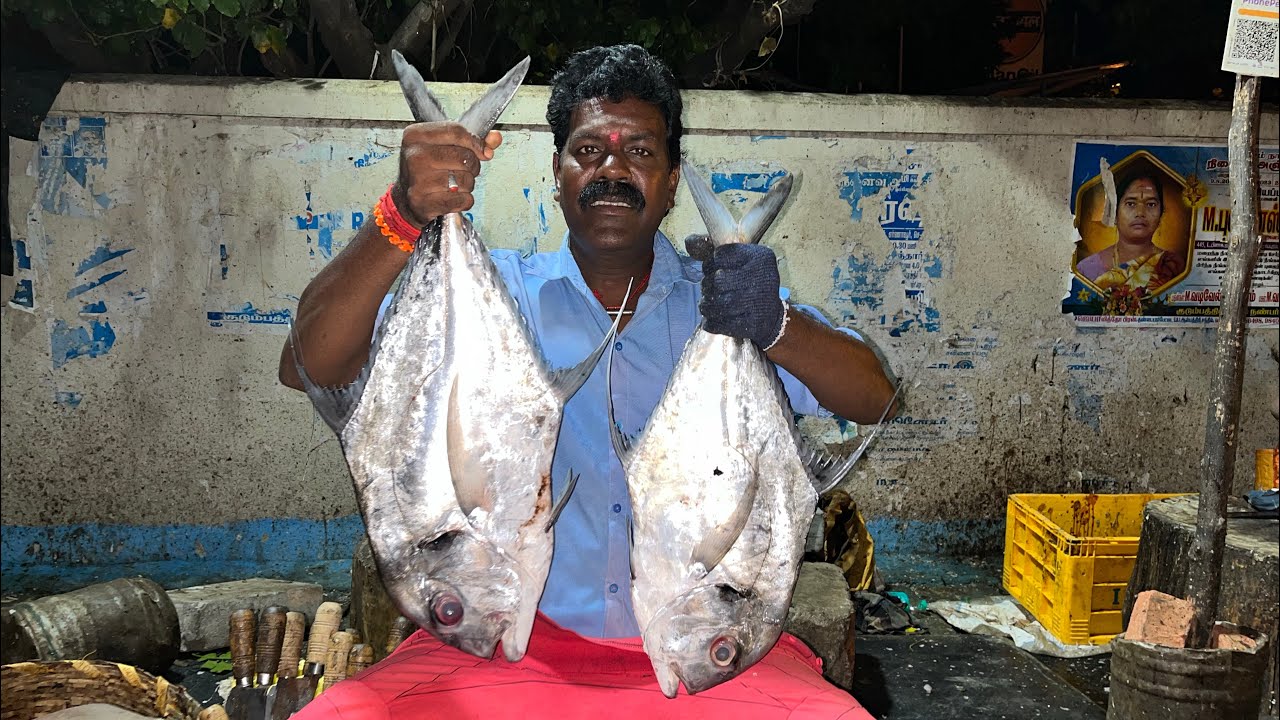 KANNAADI PAARAI FISH 🐟 CUTTING BY KASIMEDU SEKAR ⚔️🔥