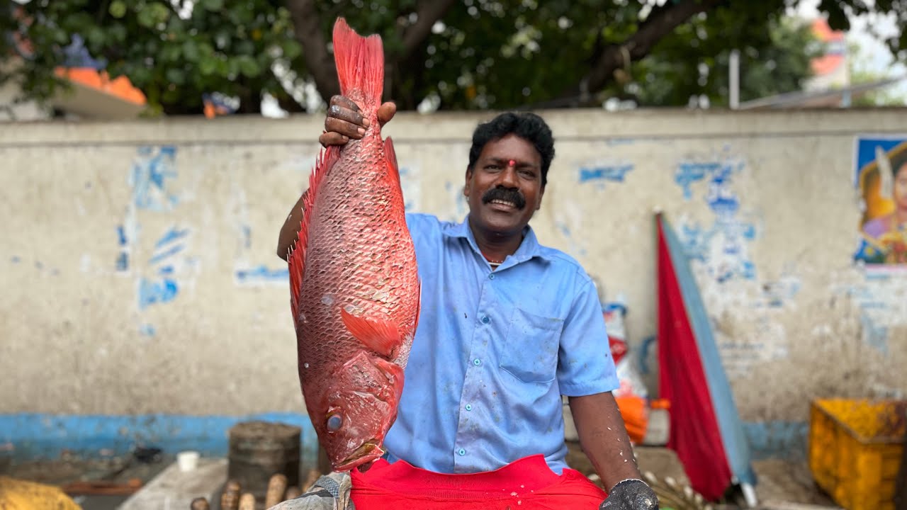RED SNAPPER FISH 🐠 CUTTING BY KASIMEDU SEKAR ⚔️🔥