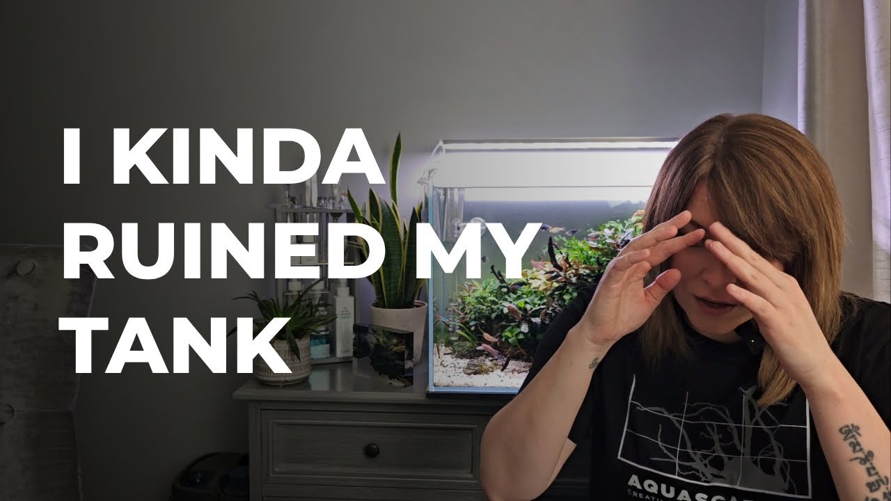 DON'T Do This with Algae Treatment! – How I Accidently Ruined & Killed Some of my Aquarium Plants