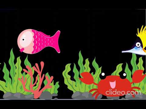 Ezzy Bear Sensory – Fish Aquarium – colourful calming fish with gentle music